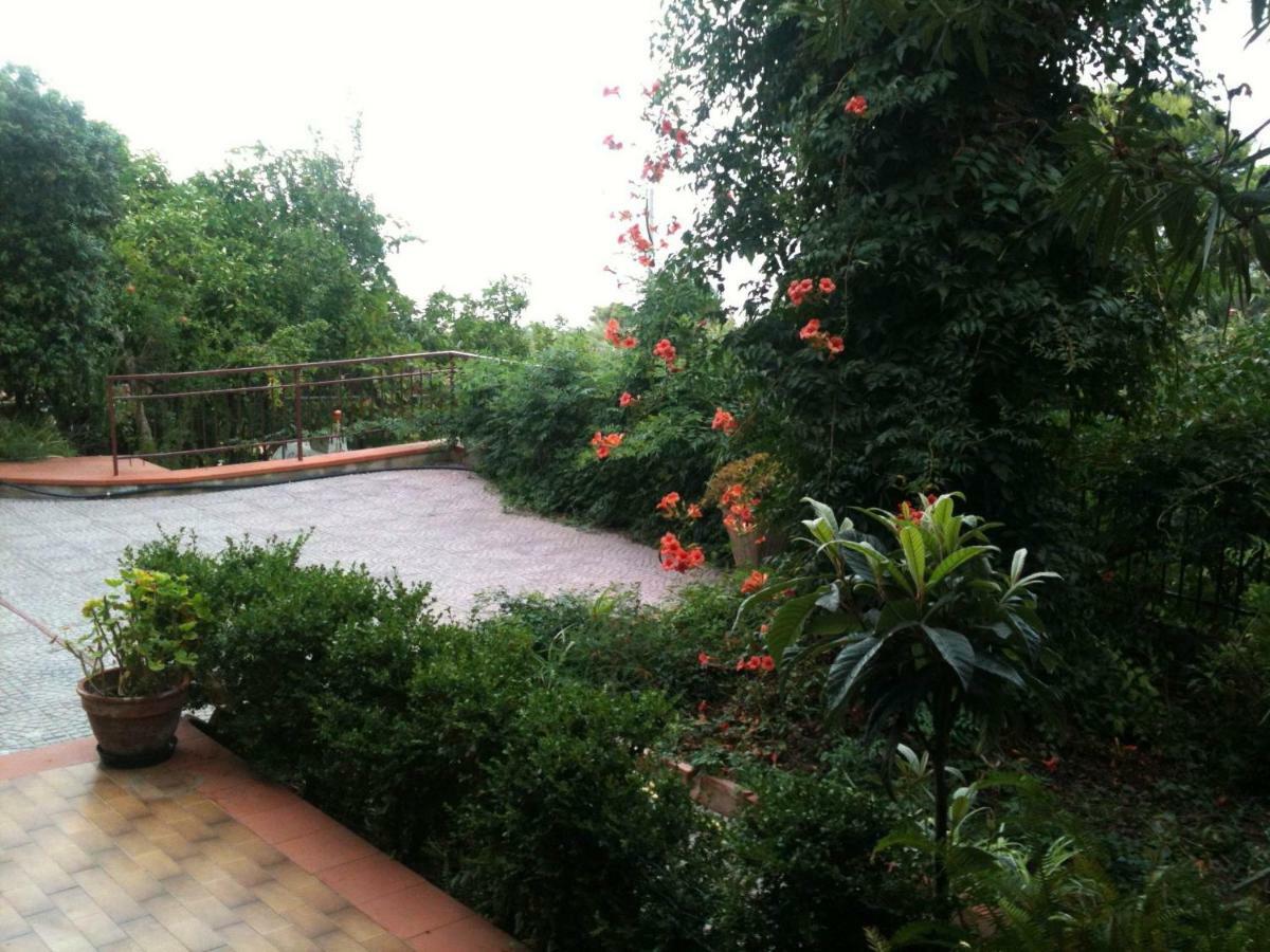 Green Villa Sand Beach Center Close Sea Veiw 체팔루 외부 사진