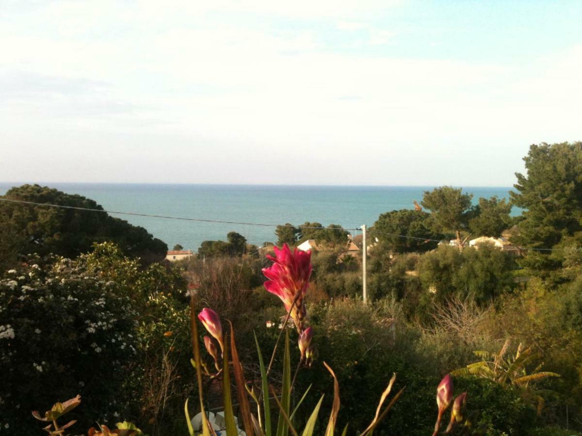 Green Villa Sand Beach Center Close Sea Veiw 체팔루 외부 사진